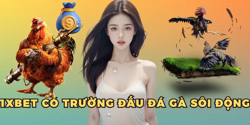 1XBET có trường đấu đá gà sôi động Nhiều lợi thế nổi bật ở 1XBET